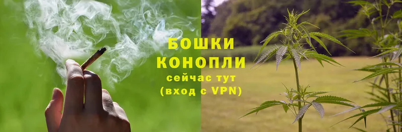 Шишки марихуана THC 21%  OMG онион  shop телеграм  Борисоглебск 